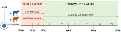 Feeding Pre-weaned Calves With Waste Milk Containing Antibiotic Residues Is Related to a Higher Incidence of Diarrhea and Alterations in the Fecal Microbiota